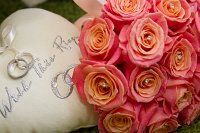 0004-120810-082-5764-0004  Wedding : Dunchurch Park, Sheepy Magna, Steph and Ian