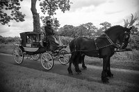 0465-120622-081-6098-0465  Wedding : Perri and Jake, Royal Arms Sutton Cheney., St Peters Market Bosworth